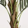 HOMLA Umelá rastlina TROPICAL ZONE Palma 120 cm Náhľad obrázku produktu 5