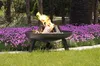 A black metal fire pit with a fire burning in it, set in a garden with purple flowers and green grass. Náhled obrázku produktu