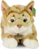 RAPPA Peluche chat tabby rouille 40 cm ECO-FRIENDLY Voir les images du produit 2