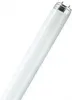 Philips TL-D 36W-1/840 G13 kaltweiss Produktbild-Vorschau 8