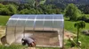 Polykarbonátový skleník Frux Strong 6x3 m / 18m2 - 6mm Náhled obrázku produktu 3
