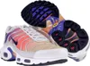 Nike Air Max Plus TN DZ3670 003 Platinum Tint/Black 39 Produktbild-Vorschau 3