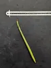 Stelzenmangrove (Rhizophora apiculata) - 1 Samen Produktbild-Vorschau 5