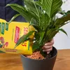 Seramis Pflanz-Granulat für Zimmerpflanzen 15 l + 2 Produktbild-Vorschau 5