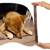 Dogario Bonni Long Crisp - croccantezza 30cm Dogario Anteprima dell’immagine prodotto 3