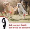 Two dogs running in a grassy field with tulips in the background. A dog brace is shown in the lower left corner. Podgląd zdjęcia produktu