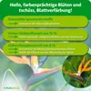 Purgrün Strelitzien-Dünger 1 Liter Produktbild-Vorschau 3