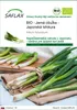 SAFLAX - BIO - Jarná cibuľka - Japonská Ishikura - Allium Náhľad obrázku produktu 1