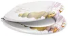 Sanfino® Premium WC Sitz "Balance II" hochwertiger Produktbild-Vorschau 2