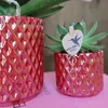 Kolibri Orchids | Rote Schmetterlings-Orchidee Congo + Produktbild-Vorschau 5