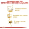 Royal Canin Cocker Adult, Dorosły, Cocker Spaniel, Średnie Podgląd zdjęcia produktu 5