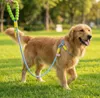 Guinzaglio multifunzionale per cani 220 cm, guinzaglio a Anteprima dell’immagine prodotto 2