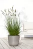 Pflanztopf Ecopots Oslo Kunststoff Ø 35 cm H 30,5 cm taupe Produktbild-Vorschau 5