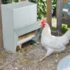 COSTWAY Automatyczny karmnik dla kurczaków 22kg, Karmnik Podgląd zdjęcia produktu 2