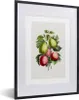 MuchoWow® Gerahmtes Poster Lebensmittel - Feigen - Pflanze Produktbild-Vorschau 1