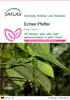 SAFLAX - Echter Pfeffer - Piper nigrum - 20 Samen Produktbild-Vorschau 1