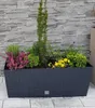 Prosperplast Blumentopf | Rato Case | Schwarz | 60 cm Produktbild-Vorschau 15