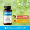 Bioherba Pygeum Extrakt 270 mg 100 Kapseln Produktbild-Vorschau 4