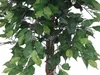 EUROPALMS Ficus-Benjamini Multi-Stamm, Kunstpflanze, 150cm Produktbild-Vorschau 2