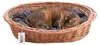 Cesto di vimini per cani, gatti e altri animali, morbido, Anteprima dell’immagine prodotto 18