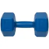 A single blue dumbbell is shown against a white background. Produktbild-Vorschau