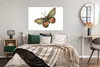 MuchoWow® Poster Vintage - Schmetterling - Braun 120x80 cm Produktbild-Vorschau 4