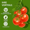 LERAVA® Kupferoxychlorid [Biologisch] - 800g - Verbessert Produktbild-Vorschau 2