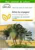 SAFLAX  - Arbre du voyageur - 8 graines - Avec substrat - Voir les images du produit 1