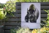 MuchoWow® Produktbild-Vorschau 5