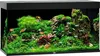 Juwel Rio 240 LED jasné dřevo - akvárium Juwel Náhled obrázku produktu 11