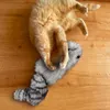 Aumüller Katzenspielkissen Waschbär Wolle - mit Baldrian, Produktbild-Vorschau 3