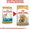 Royal Canin Shih Tzu Adult, Dorosły, Shih Tzu, Mini (5 - 10 Podgląd zdjęcia produktu 3