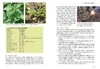 Unser naturnaher Kleingarten Produktbild-Vorschau 4