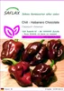 SAFLAX - Chili - Habanero Chocolate - 10 Samen - Capsicum Produktbild-Vorschau 1