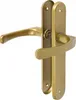 A close-up studio shot of a gold-colored door handle set against a white background. Anteprima dell’immagine prodotto