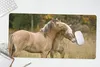 MuchoWow® Schreibtischunterlage Zwei kuschelnde Fjordpferde Produktbild-Vorschau 5