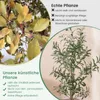 COSTWAY Sztuczne drzewo oliwne 130 cm, sztuczna roślina z Podgląd zdjęcia produktu 7