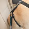 Kurgo Verbindungsstück Direct to Seatbelt Tether Produktbild-Vorschau 4