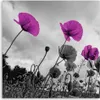 Leinwandbild lila mohnblumen 40x40 cm Feeby lila wandbild Produktbild-Vorschau 3