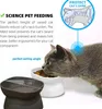 2 Stück Geneigter Katzennapf, erhöhter Katzennapf schützt Produktbild-Vorschau 3