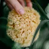 CROLL & DENECKE Naturschwamm Mittelmeer 13cm Mediumqualität Produktbild-Vorschau 2