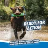 Chuckit Amphibious Bumper Small Voir les images du produit 9
