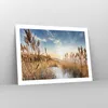 Poster - Poster ohne Rahmen - Ähren Küste Sonne - 70x50 cm Produktbild-Vorschau 7