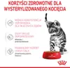 ROYAL CANIN FHN Kitten Sterilized Sauce 12x85g Produktbild-Vorschau 9