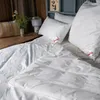 Paradies Ganzjahres Allergiker Bettdecke 135x200 cm Produktbild-Vorschau 3