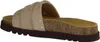 Scholl Joyce Damenpantolette, Leder, Dark Beige, Produktbild-Vorschau 6