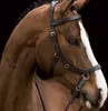 Horseware Ireland Zaum Micklem Rambo Multibridle Trense Produktbild-Vorschau 7