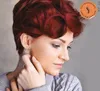 FemMas Hair Color Cream 100ml Haarfarbe Dunkelblond Rot 6.6 Produktbild-Vorschau 13