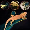 Guantes para el cuidado de mascotas: guantes de protección Vista previa de la imagen del producto 2