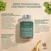 Aavalabs Ginkgo Biloba 50:1 | Ginseng e Bacopa | Memoria e Anteprima dell’immagine prodotto 4